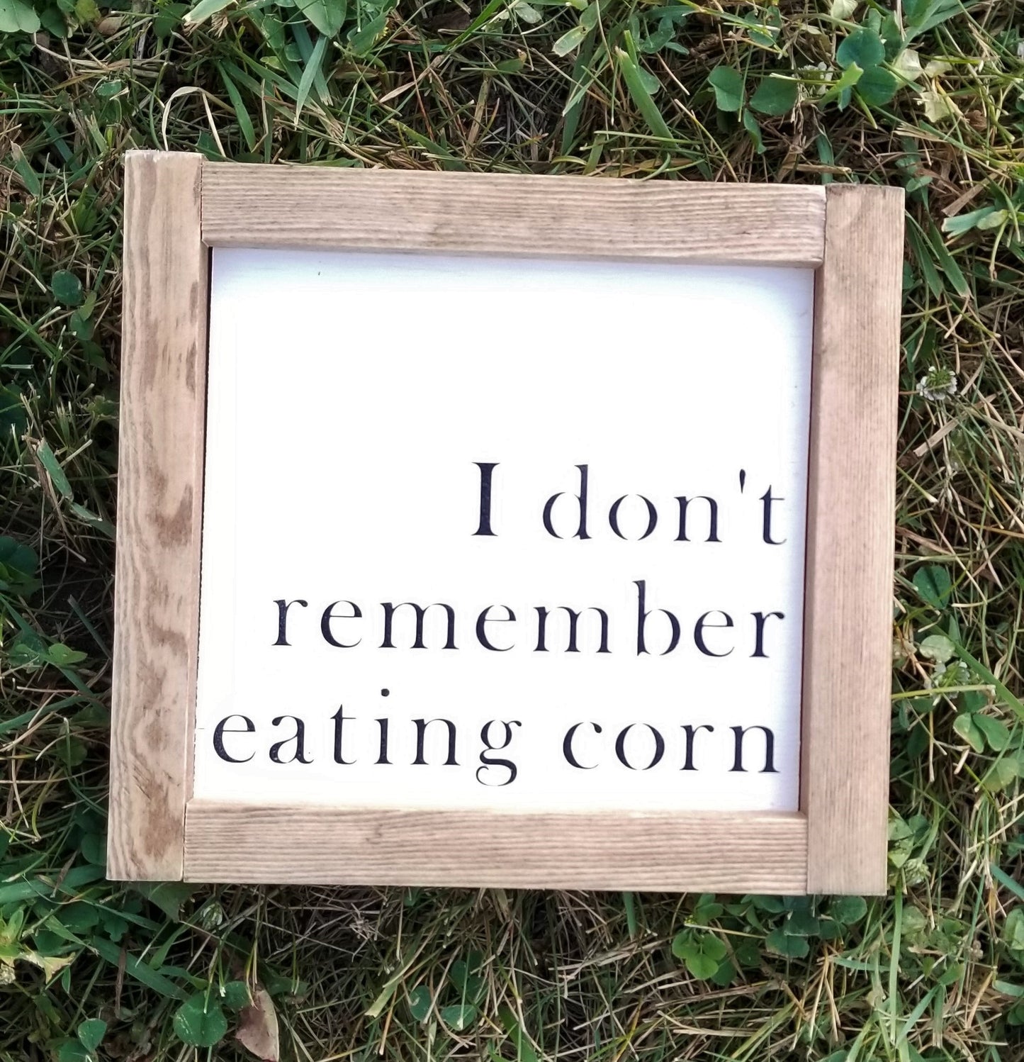 Funny Bathroom Framed Wood Sign Collection